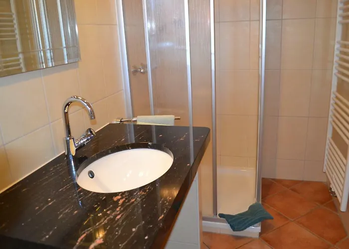 Beim Kahnfaehrmann *